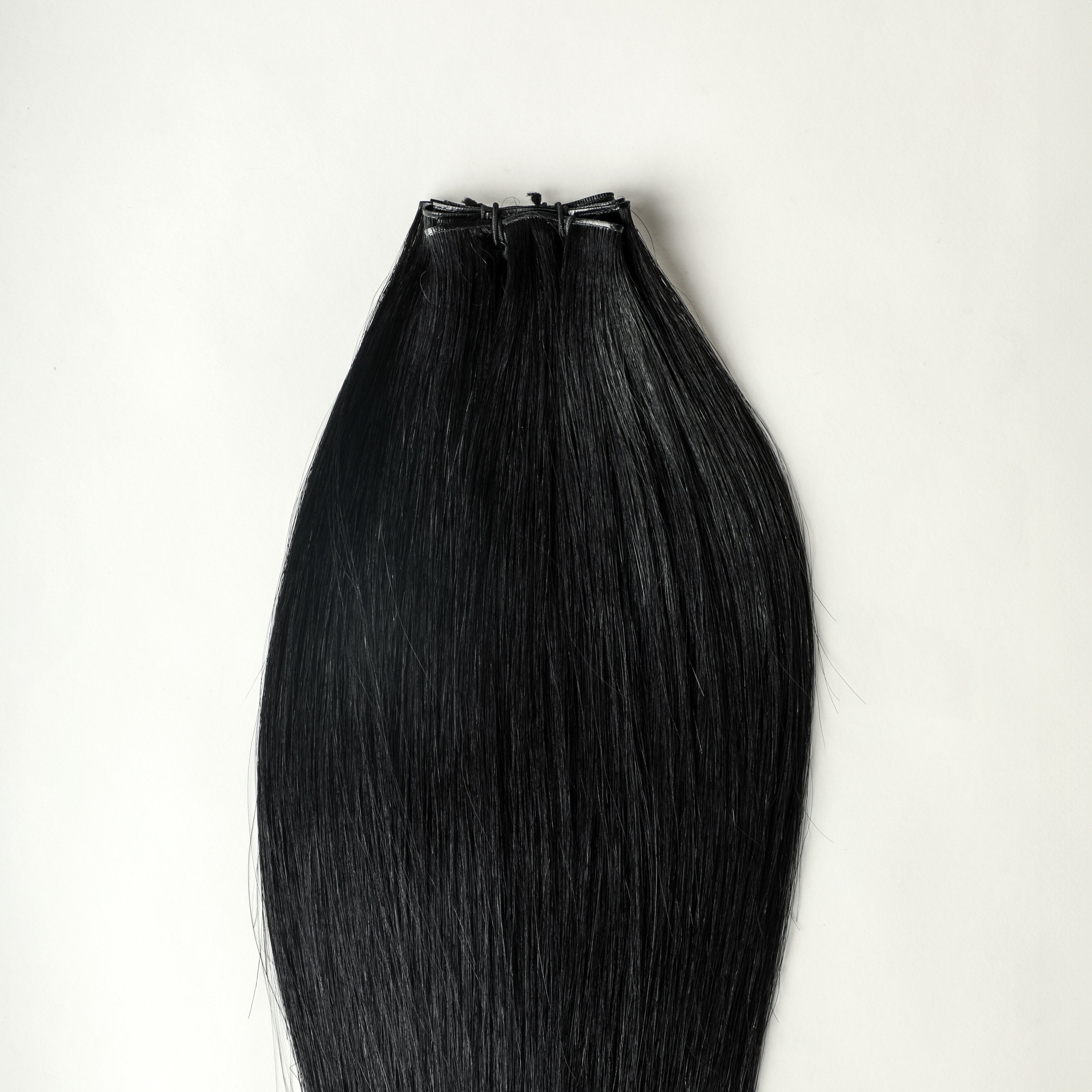 (1) - 100 gram premium Genius Weft extensions