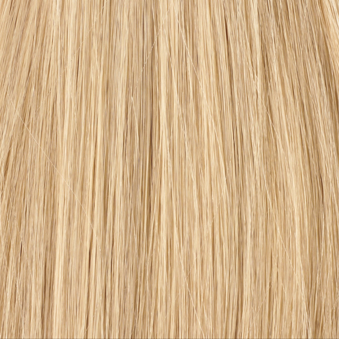 Belle - 50 gram premium invisible tape extensions